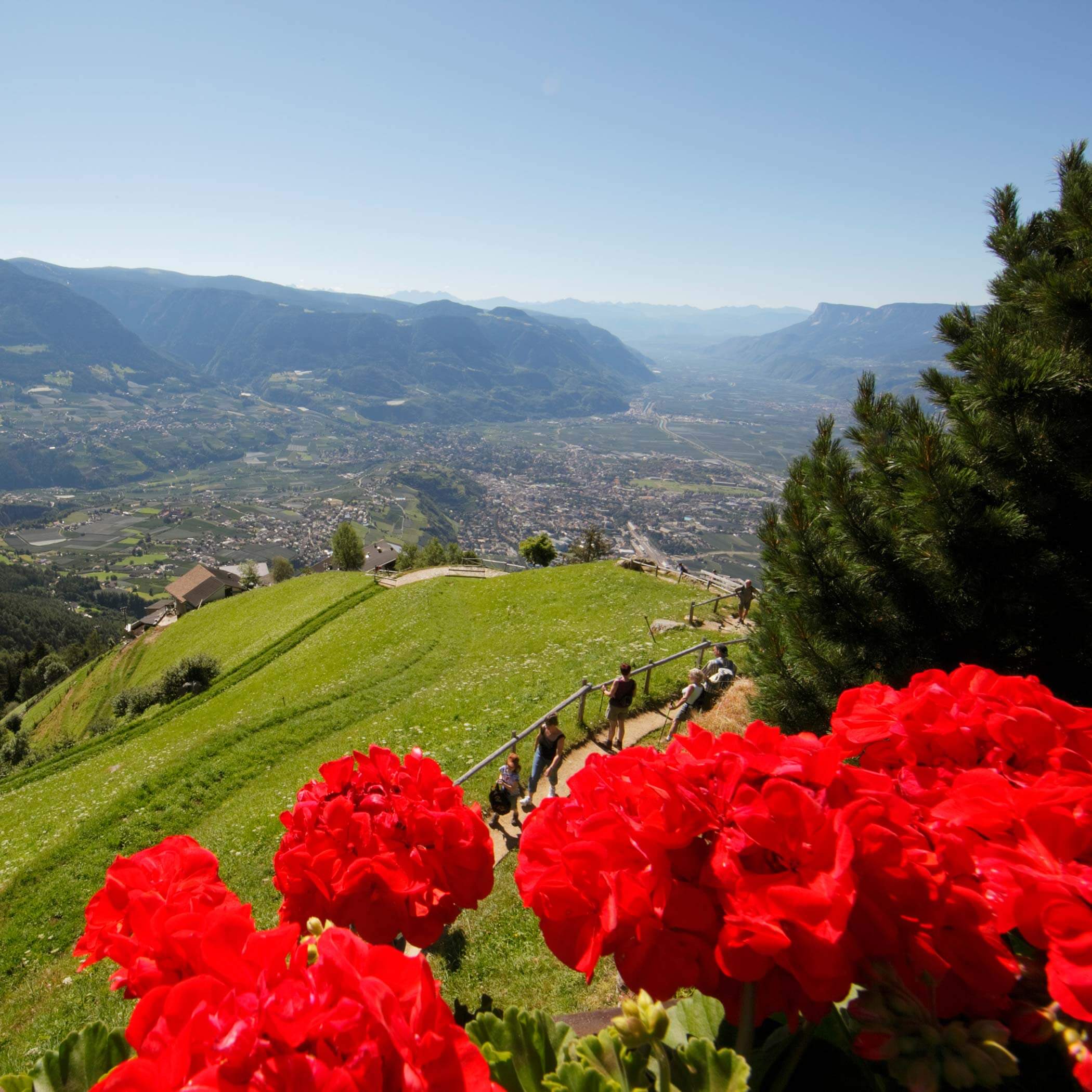 Ausblick auf Dorf Tirol