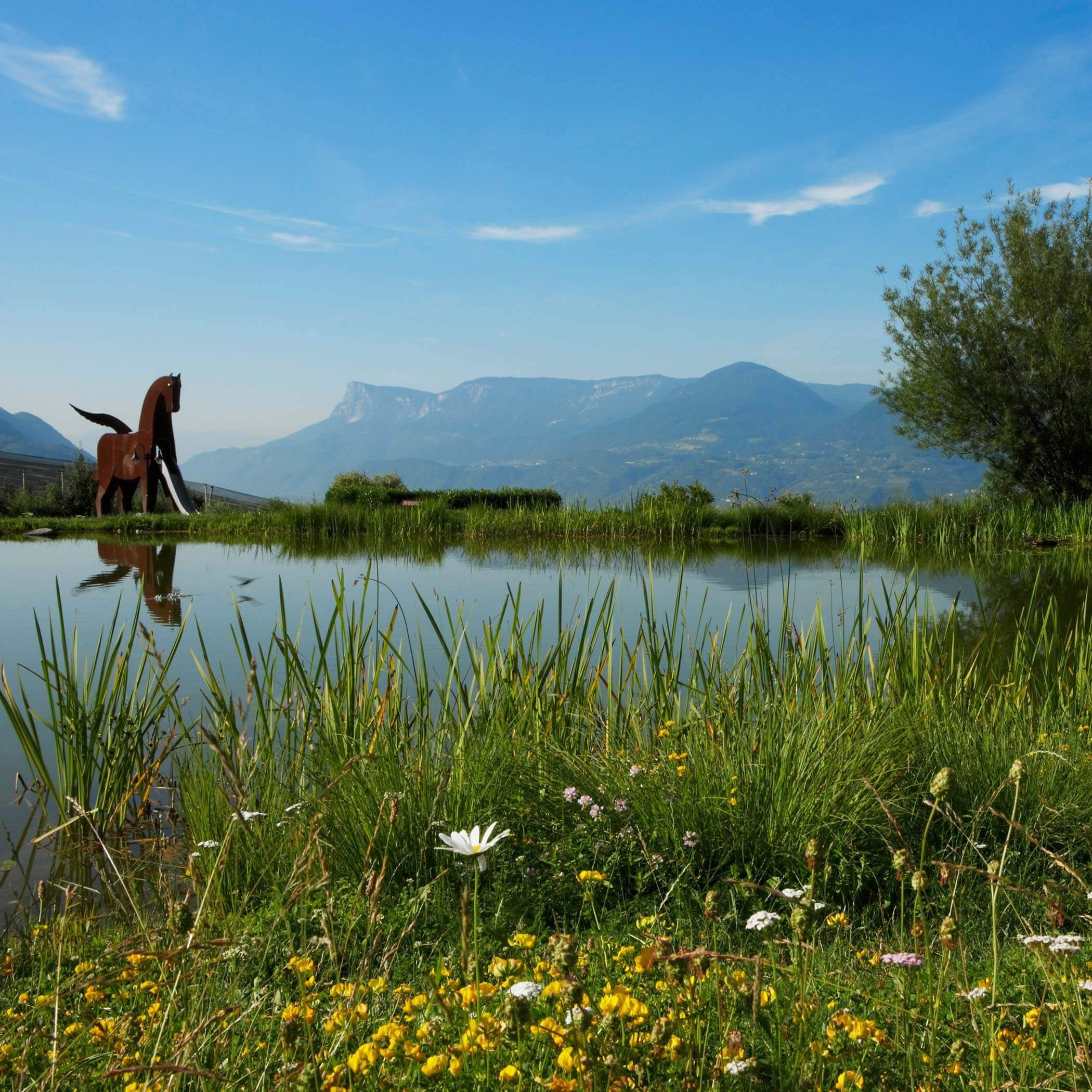 Naturlandschaft - Dorf Tirol
