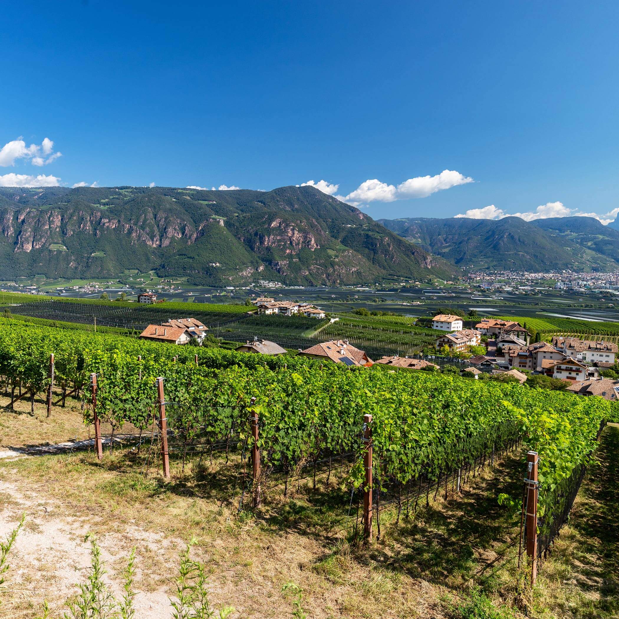 Eppan an der Südtiroler Weinstraße