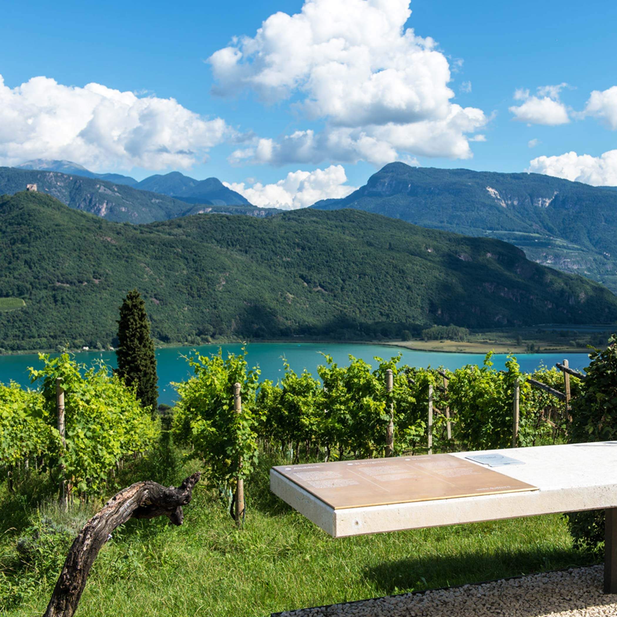 Aussichtspunkt - Kaltern Aussichtspunkt - Kaltern