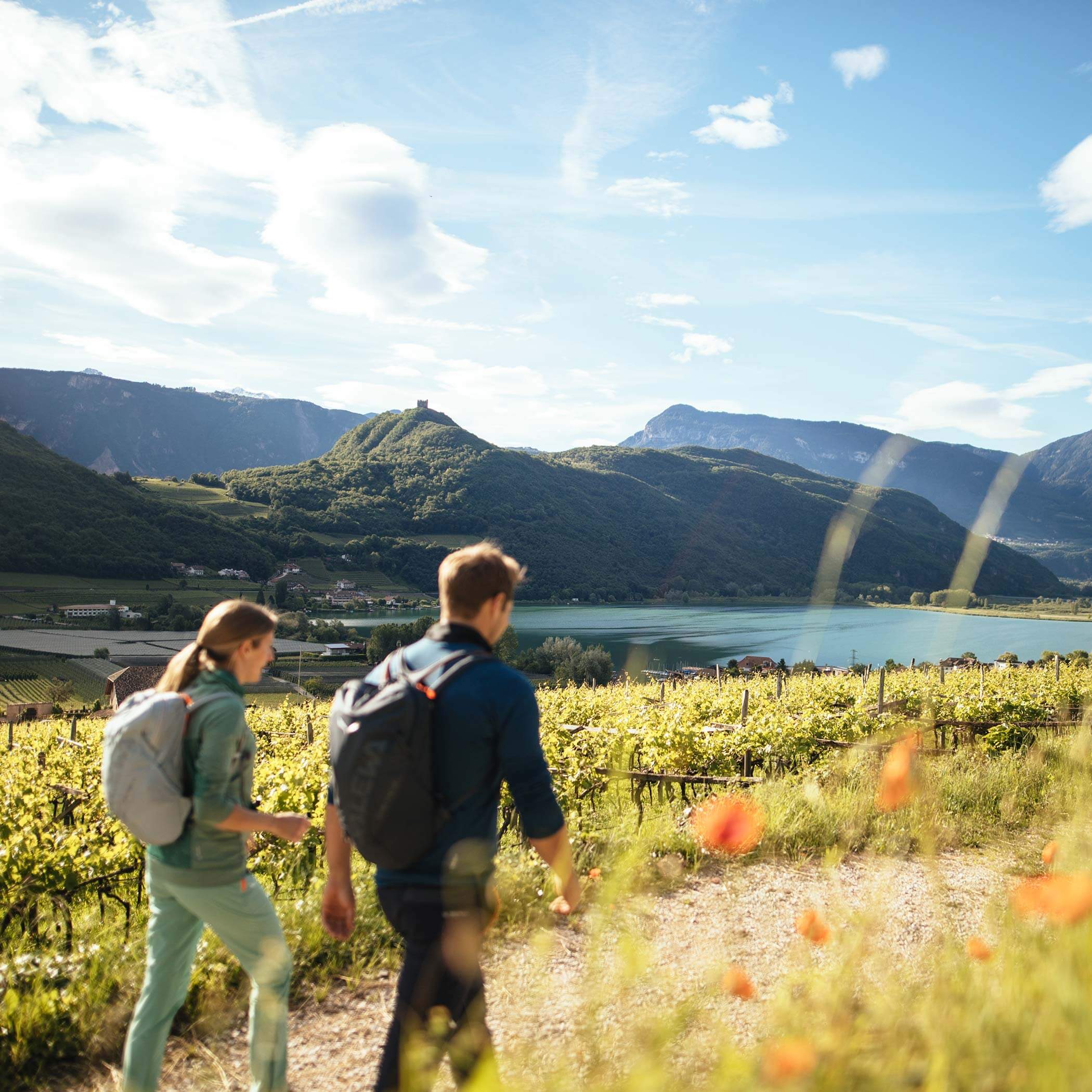 Wandern rund um Kaltern Wandern rund um Kaltern