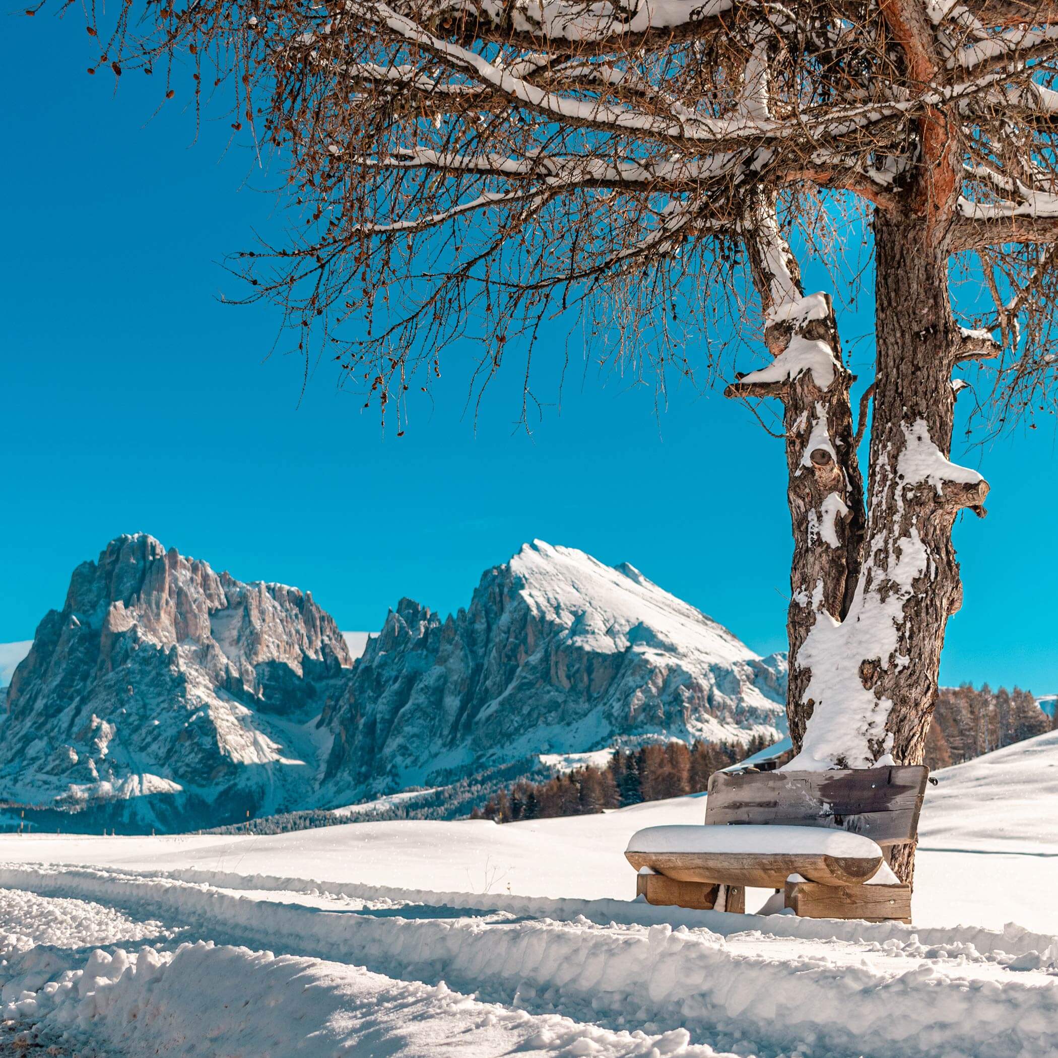 St. Ulrich in Gröden, Winter