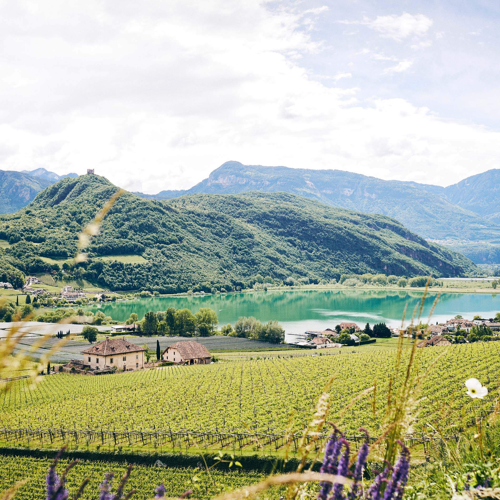 Kalterer See, Südtiroler Weinstraße Kalterer See, Südtiroler Weinstraße