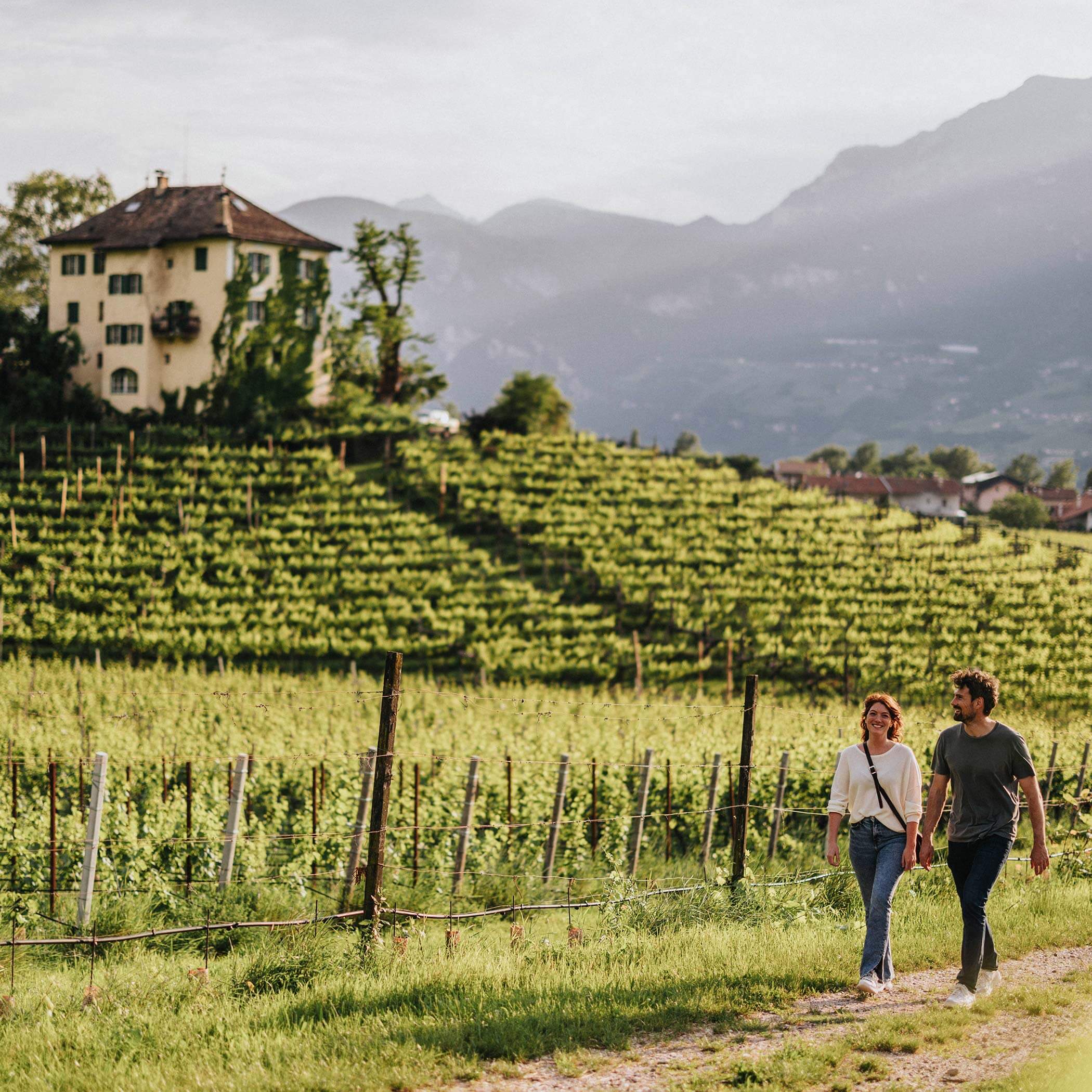 Südtiroler Weinstraße - Wandern Südtiroler Weinstraße - Wandern